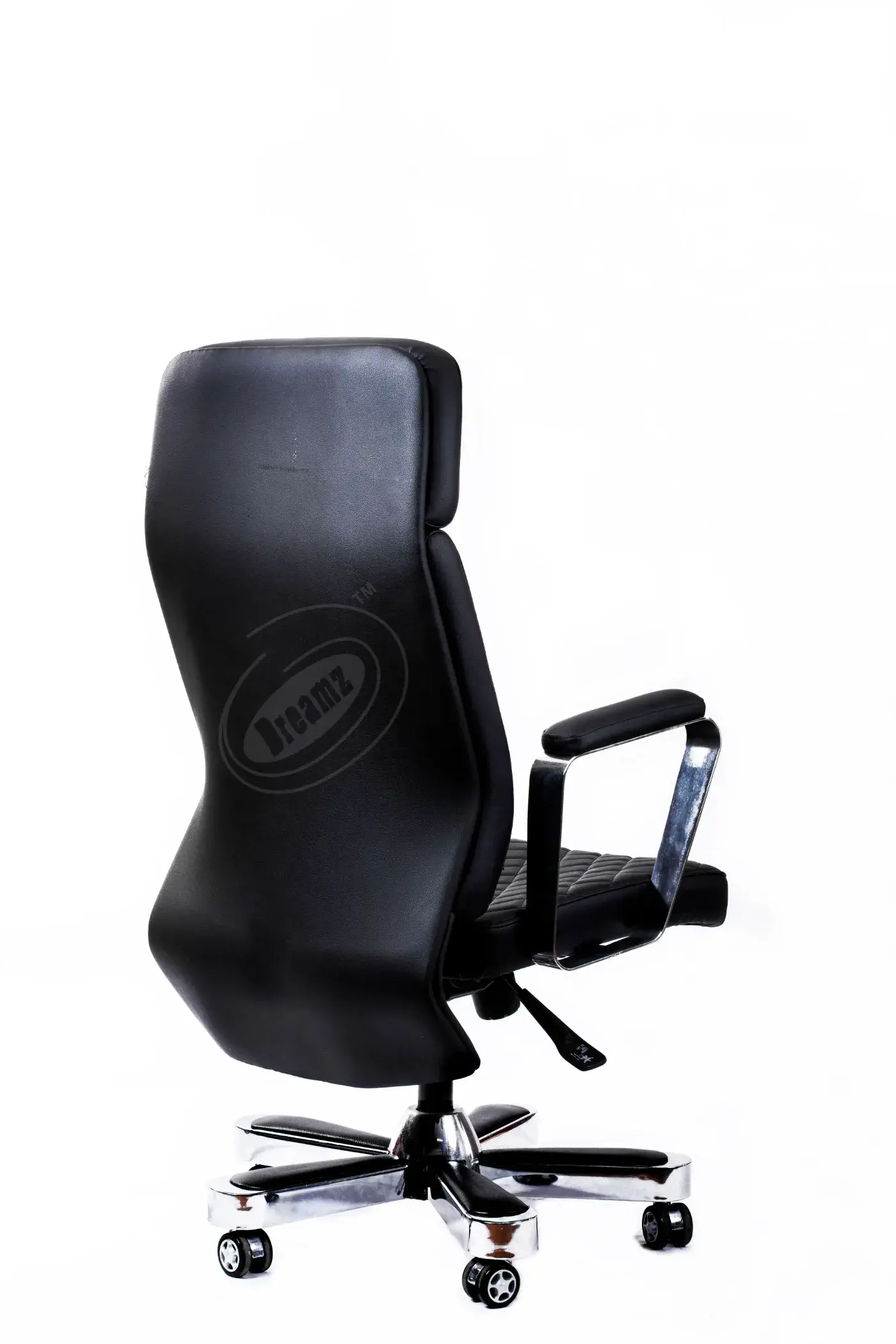 3S1A6310